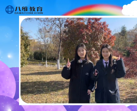 2025我在八维教育