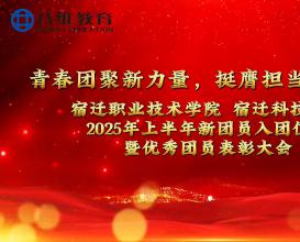 党旗领航青春路，团徽闪耀新青年 