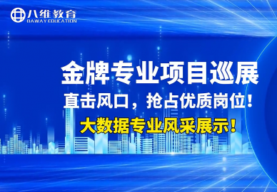 八维大数据金牌专业项目展示