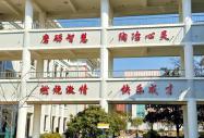 解码职业培训：个体成长、企业跃迁与社会发展的深层联结