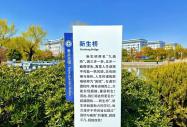 以匠心育英才，以实训筑未来 —— 八维教育，让人人皆可高效快乐成才