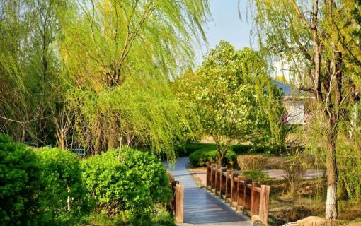 八维教育IT培训