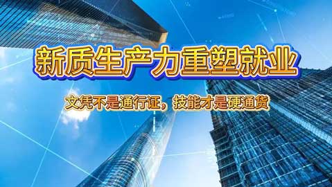 八维教育：文凭不是通行证，技能才是硬通货