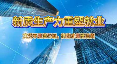 八维教育：文凭不是通行证，技能才是硬通货
