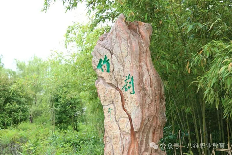 北京八维教育学校简介：IT职业教育领航者，成就高薪技术人才的摇篮