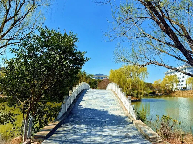 北京八维教育就业前景分析:2024年高薪就业的“隐形加速器”在哪里?