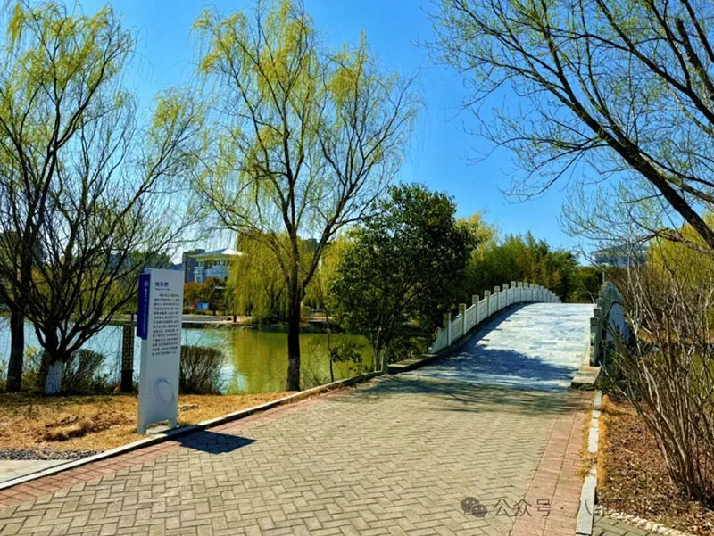 职业教育正青春：八维教育信息集团如何让技能成才“热起来”“亮起来”