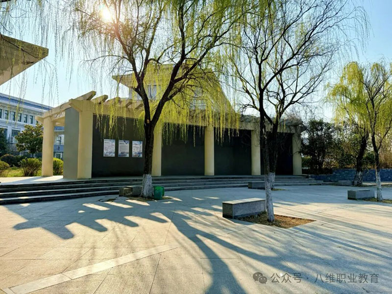 北京八维教育课程全解析：零基础如何选对IT职业培训？