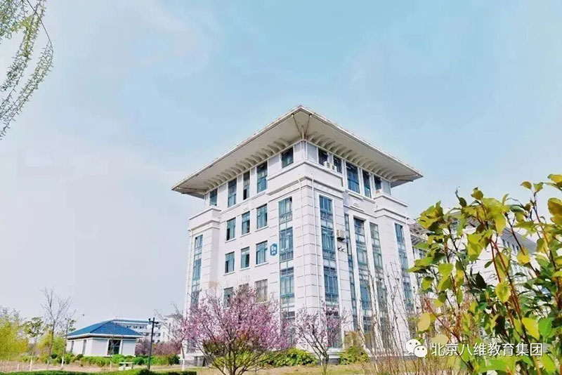 云计算+Java后端双引擎驱动就业：八维教育打造AI时代高薪开发者成长加速器