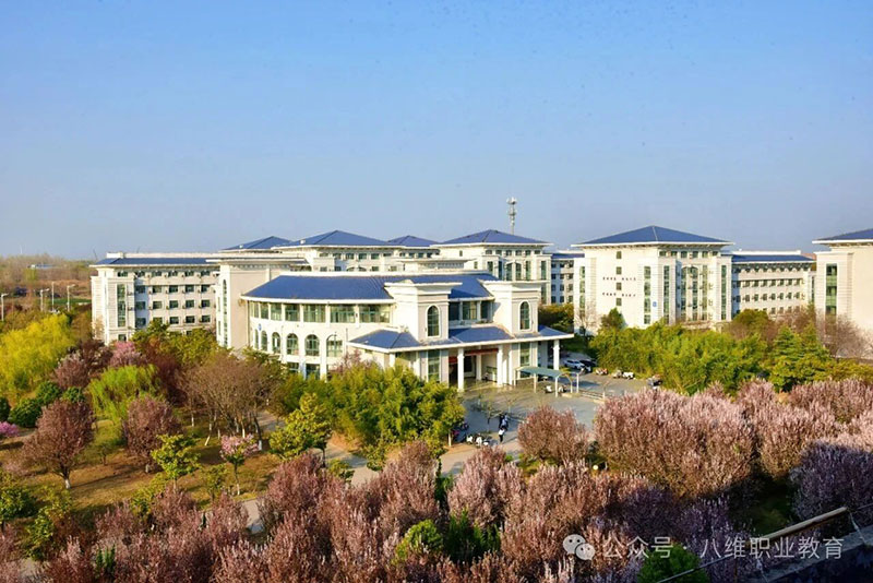 2026择校关键年!为什么越来越多学生选择八维教育学校抢占AI+数字新赛道?