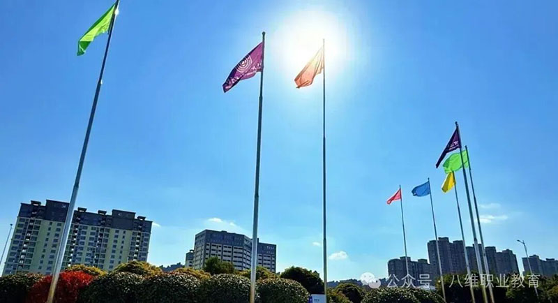 全工单强训：北京八维教育学校课程体系如何重塑数字时代人才竞争力？