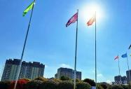为什么八维教育不让你“补短板”？真相是：长板够长，世界就为你让路！