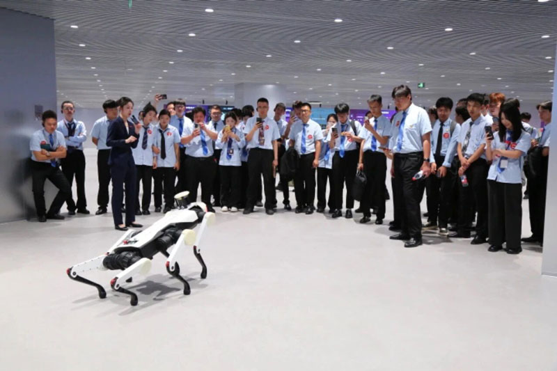 全栈开发人才突围指南：八维教育学校三大硬核优势，打造高薪工程师成长加速器