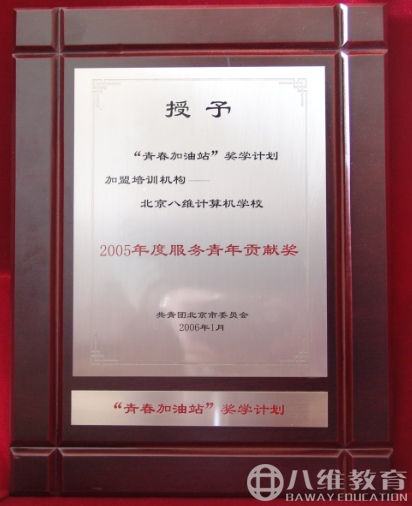 2005年度服务青年贡献奖