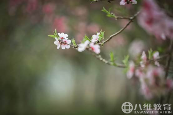 山水天地间的静谧时光