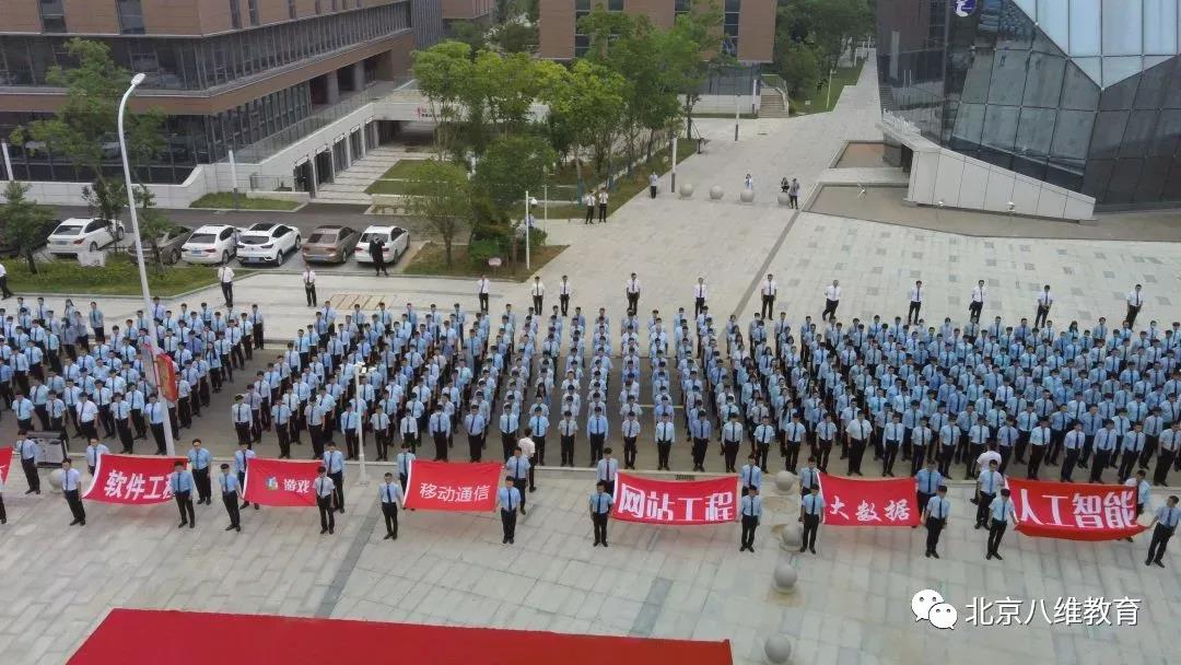 后疫情时代普通人职业发展指南